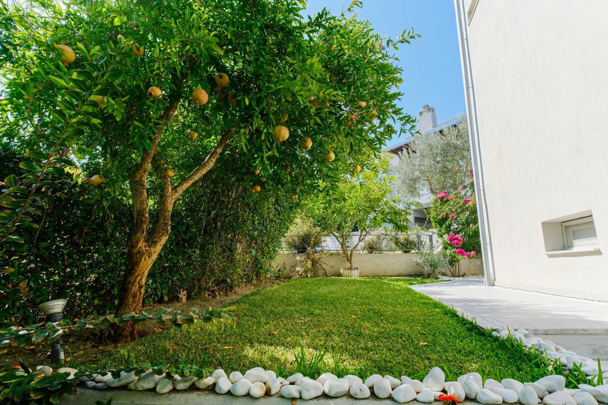 Deluxe Chrousso Pool Villa パリウリ エクステリア 写真
